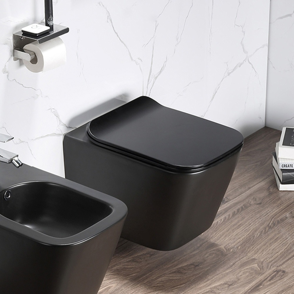 Sanita Susp Elegant + Tampo Preto Mate-RUBICER