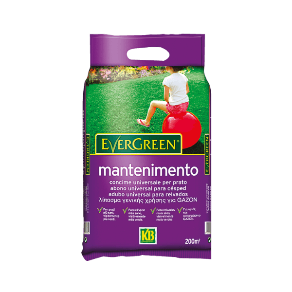 Adubo Relva Manutencao 4Kg EVERGREEN - KB