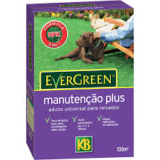 Adubo Relva Manutencao Plus 2Kg EVERGREEN - KB